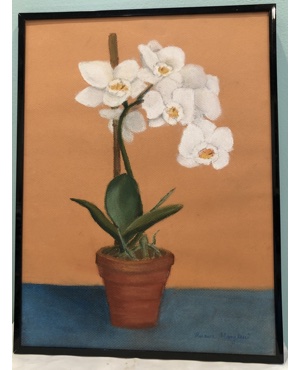 White Orchid