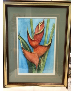 Heliconia