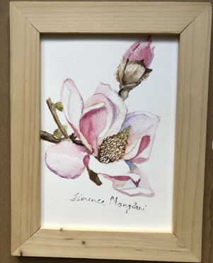 Magnolia