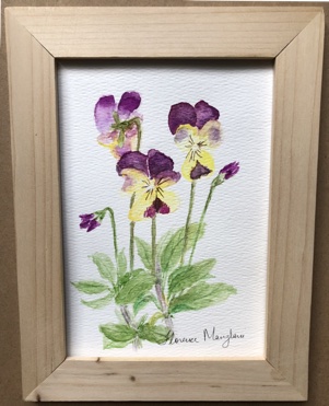 Pansies