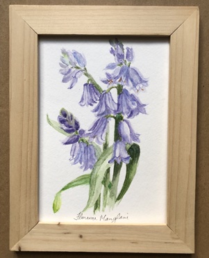 Blue Bells