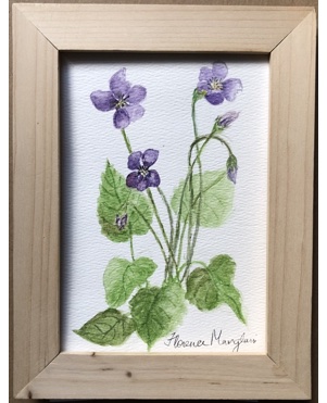 Wild Violets