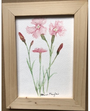 Carnations