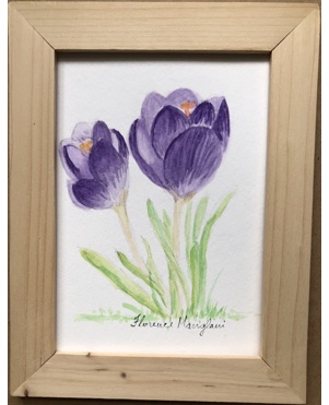 Crocuses