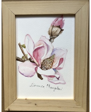 Magnolia